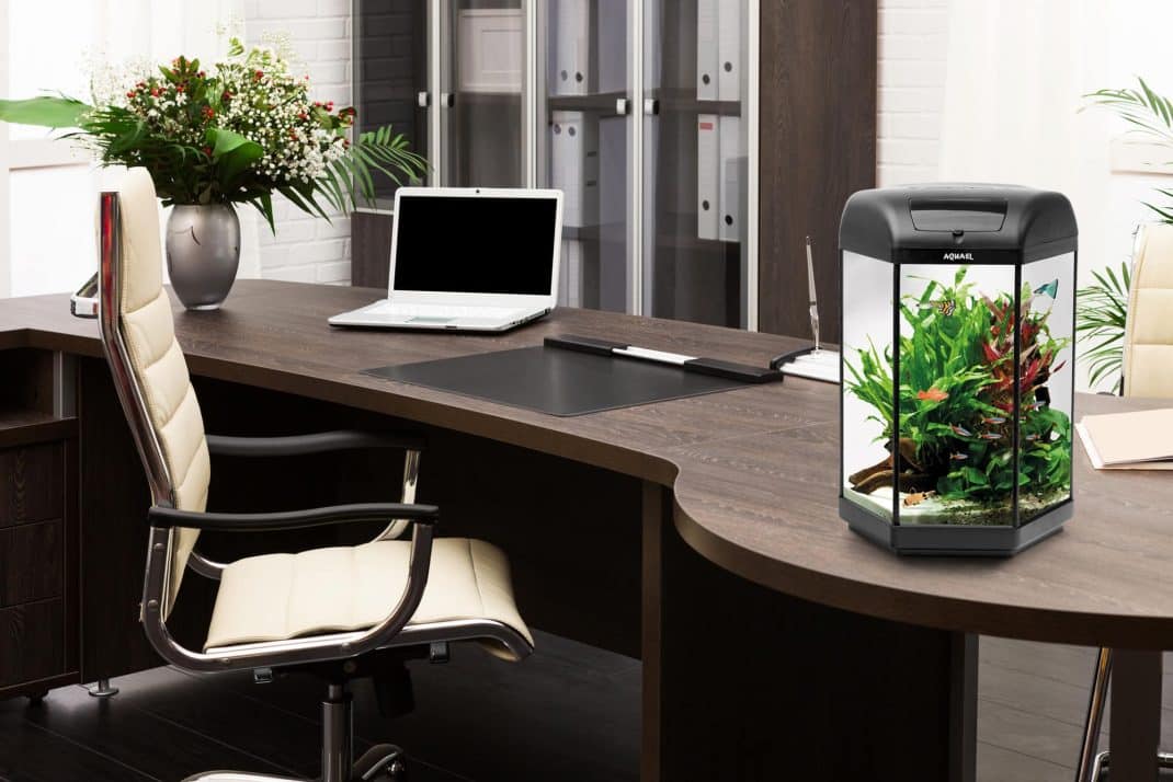 Aquael Hexa Set Lt 60l Black Aquarium