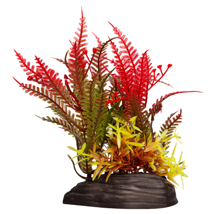 Ecoscape Small Fern Green/red