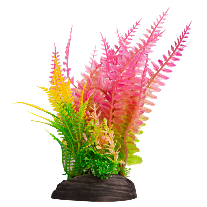 Ecoscape Medium Liquorice Fern/fern Pink