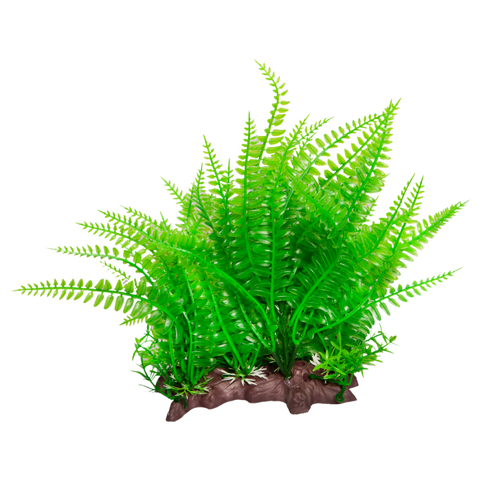 Ecoscape Large Wide Liquorice Fern/eagle Fern Green