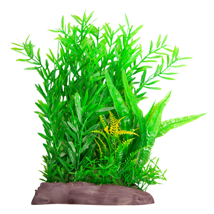 Ecoscape Large Wide Ludwigia Brevipes/java Fern Green