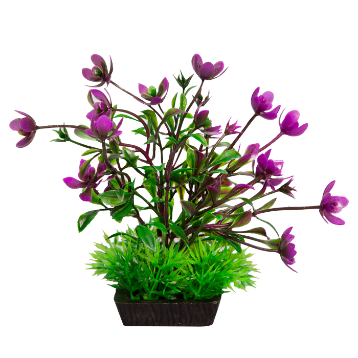 Ecoscape Small Rana Digitos Green/purple