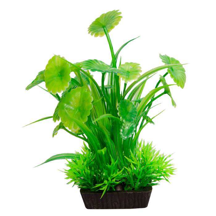 Ecoscape Small Lotus Leaf/lilaeopsis Green