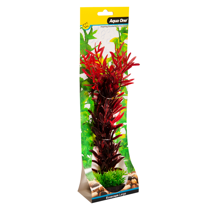 Ecoscape Large Ludwigia Brevipes Red