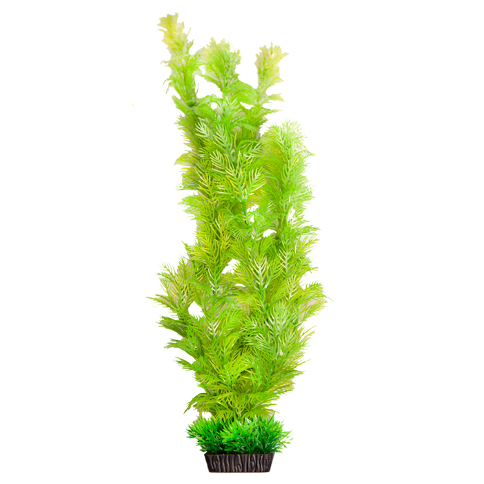 Ecoscape Xlarge Cabomba Green