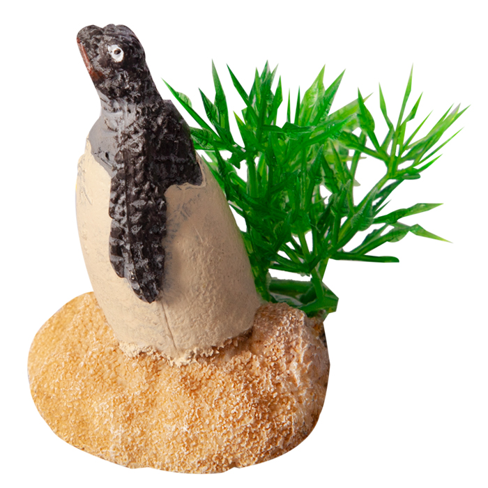 Ornament Hatching Baby Turtle 4wx4.5dx5.5cmh