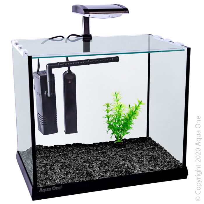 Oasis Betta Aquarium 31 W X 20 D X 26cm H Black