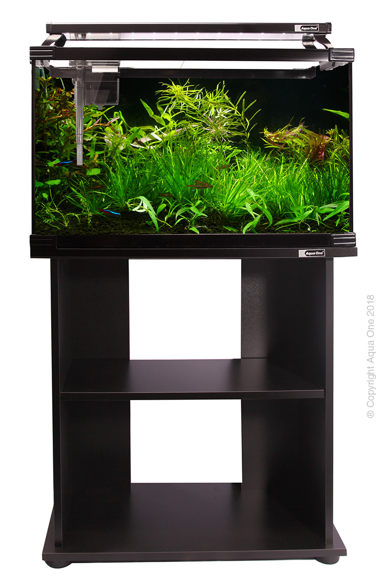 Horizon 65 Glass Starter Kit W Stand 65l 60 W X 30 D X 36+61cm H