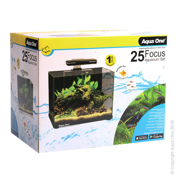 Focus 25 Glass Aquarium 25l 40l X 25d X 31cm H (black) - Oasis Aquariums