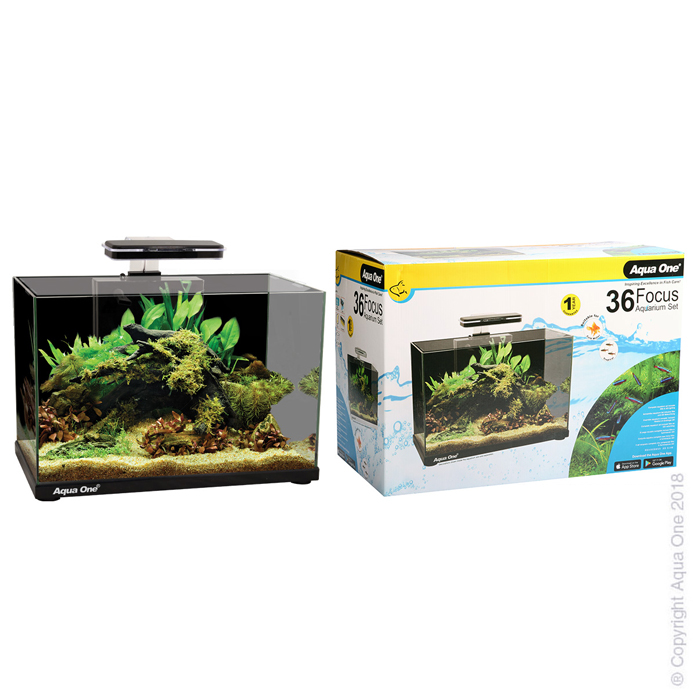 Focus 36 Glass Aquarium 36l 50l X 25d X 34cm H (black)