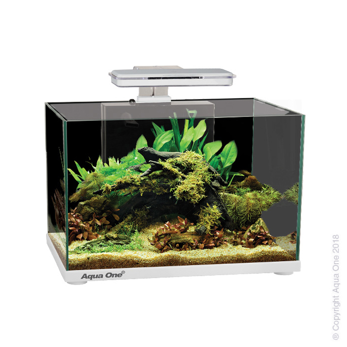 Focus 36 Glass Aquarium 36l 50l X 25d X 34cm H (white)