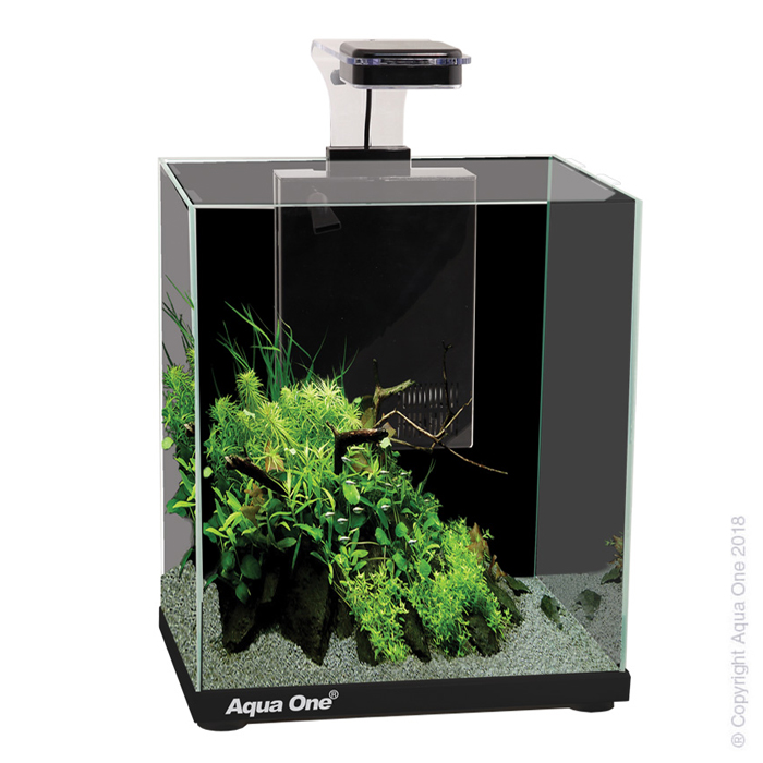 Focus 23 Glass Aquarium 23l 30l X 22d X 41cm H (black)