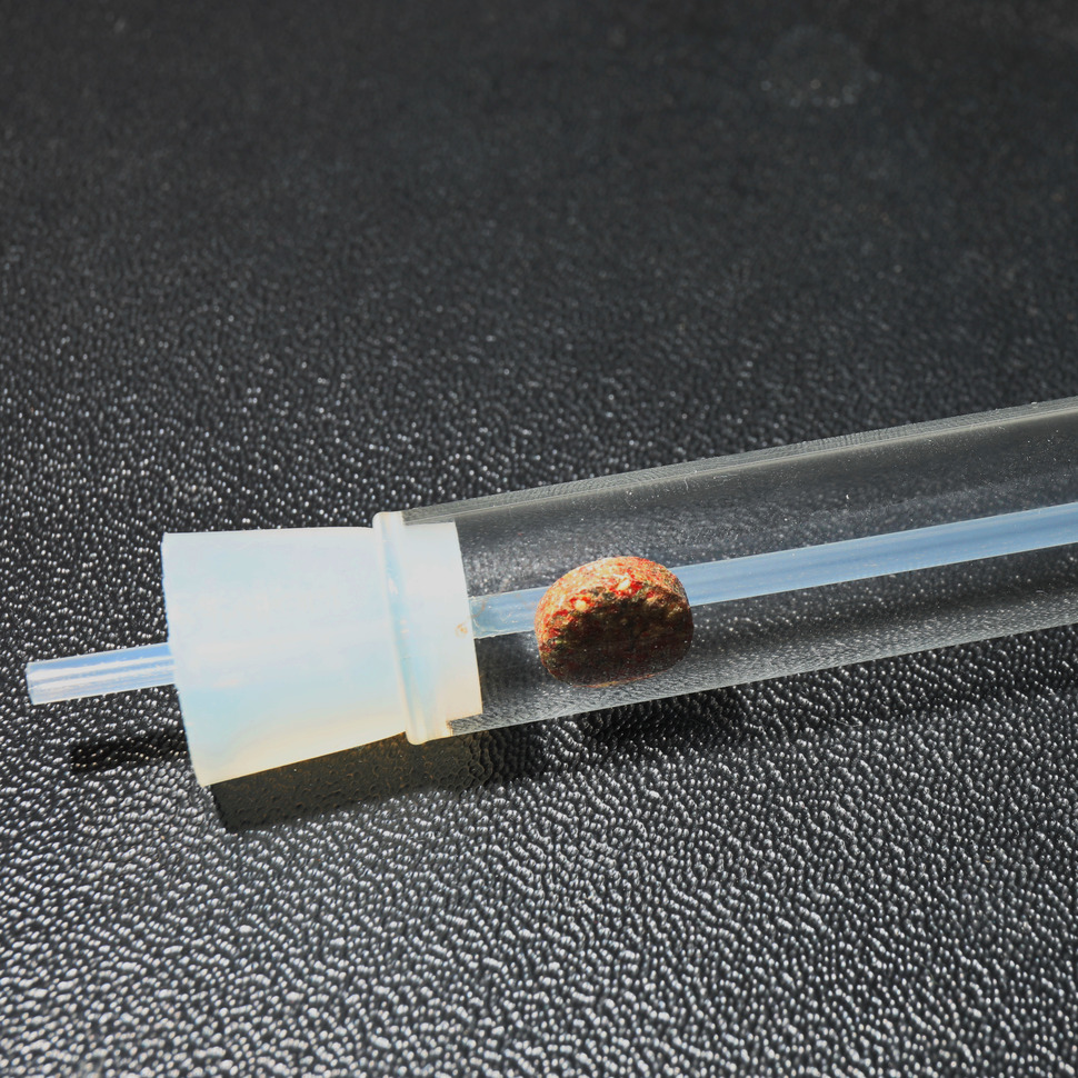 Jbl Placollect (flatworm Trap)