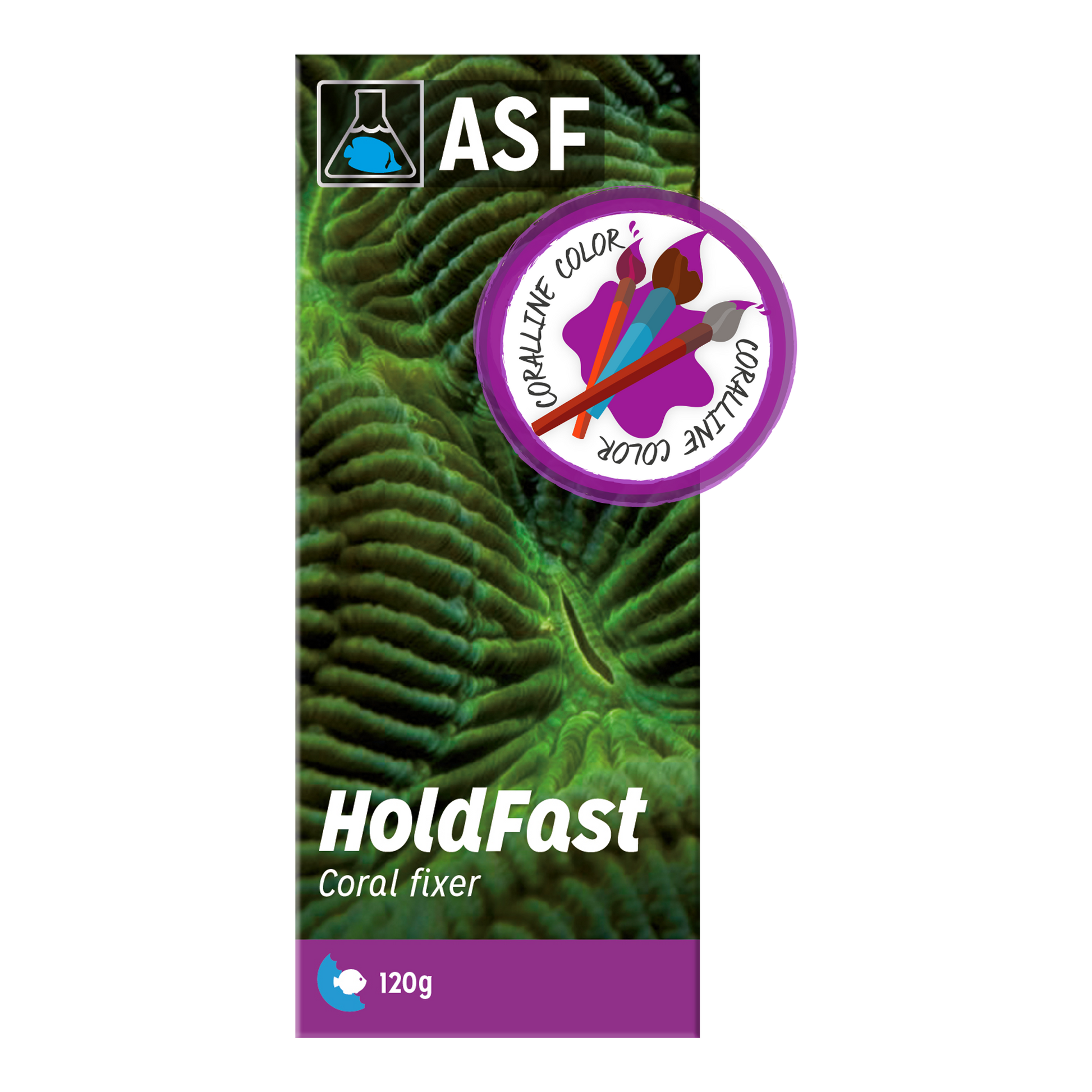 ASF HoldFast Epoxy Purple