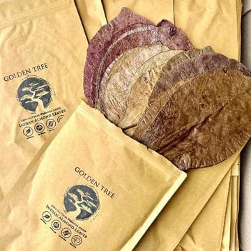 Golden Tree Premium Indian Almond Leaves 50g