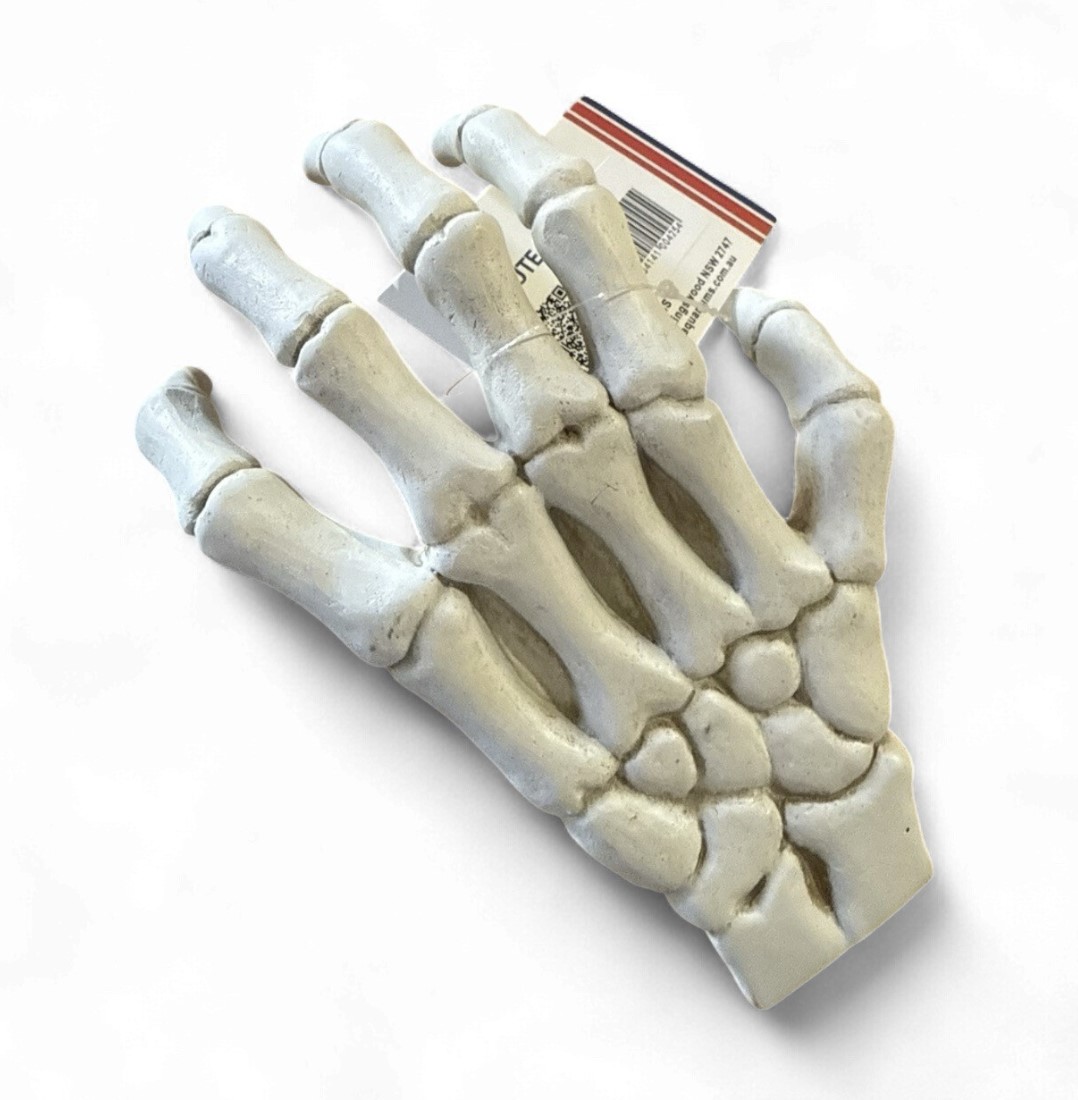 POS41G Hand Glow 20x13x6.5