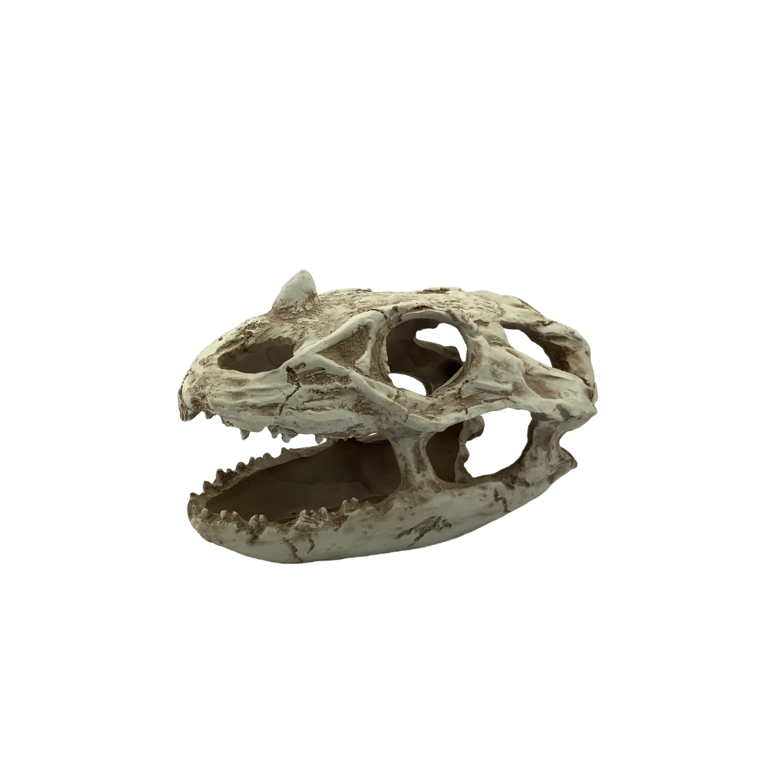 POS40G Dino Head Glow 18×11.5×12.4