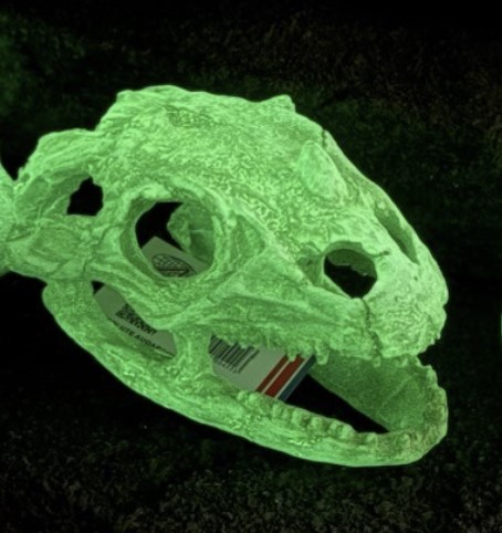 POS40G Dino Head Glow 18×11.5×12.4