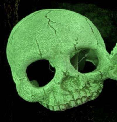 POS43G Skull M Glow 14x18x12