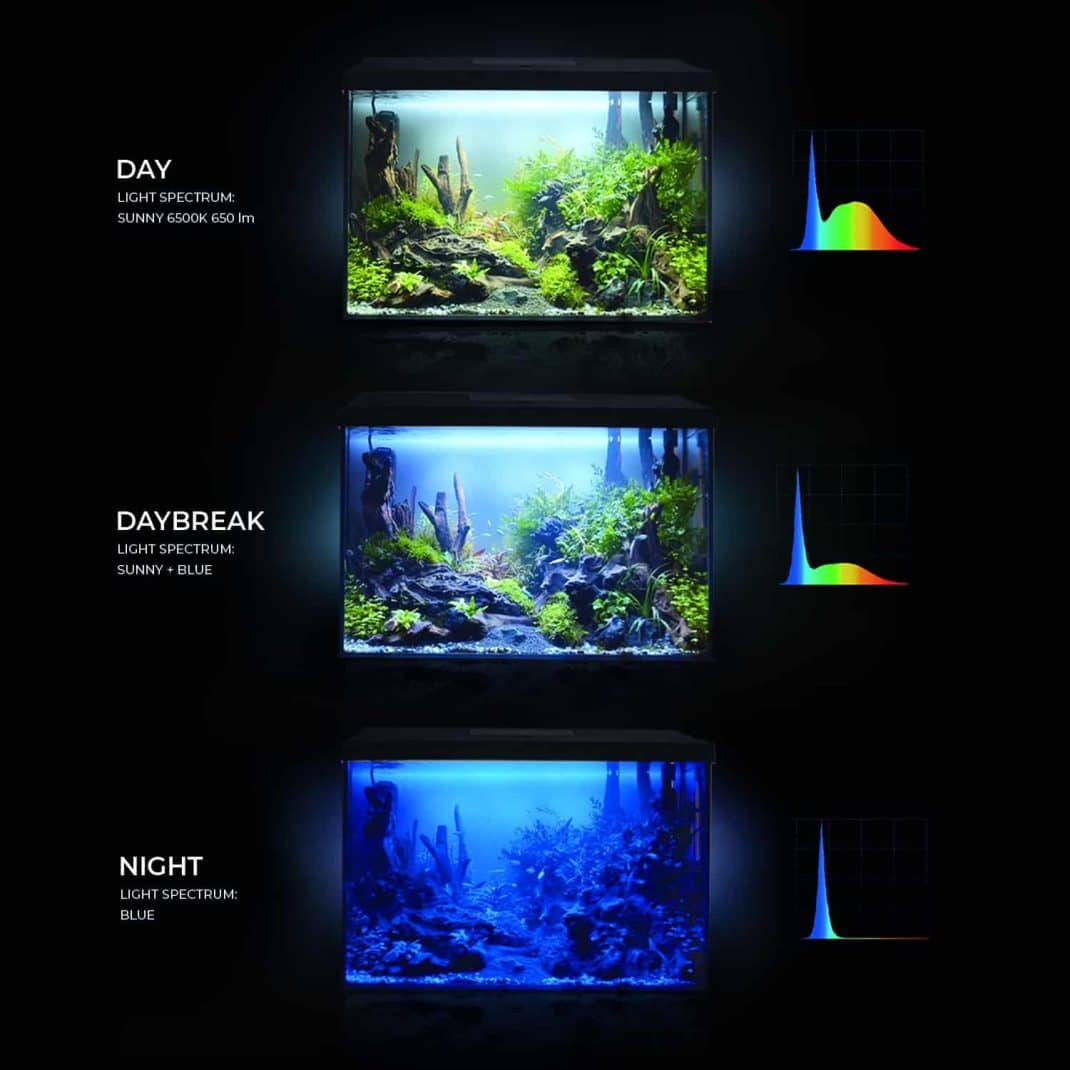 Aquael Leddy Day and Night Aquarium Set (White)