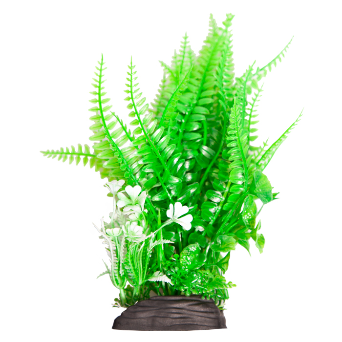Ecoscape Medium Liquorice Fern/fern Green