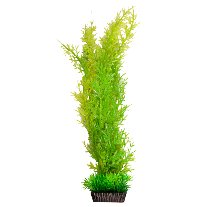 Ecoscape Large Christmas Moss Red