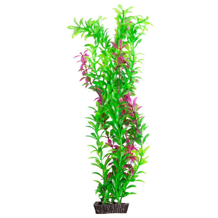 Ecoscape Medium Rotala Purple