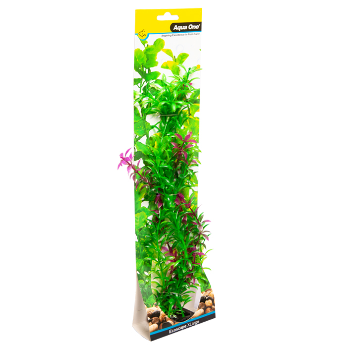 Ecoscape Medium Rotala Purple