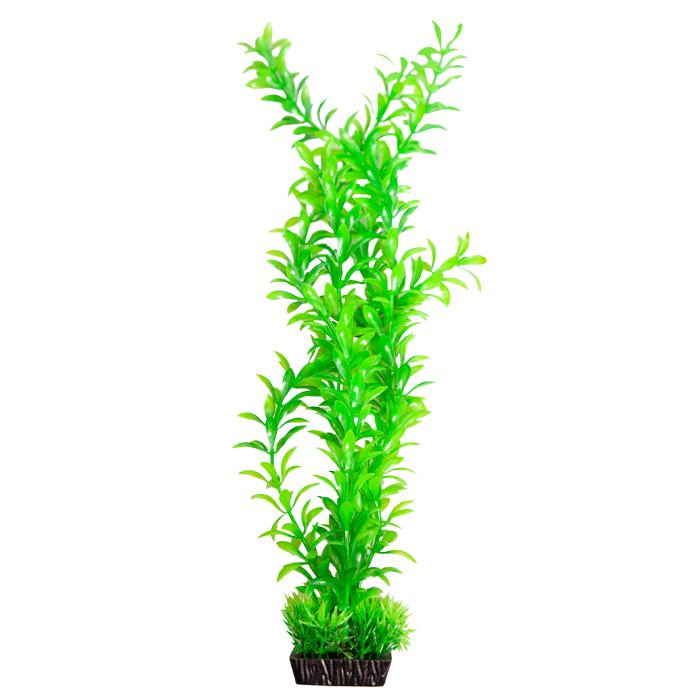 Ecoscape Medium Ludwigia Green