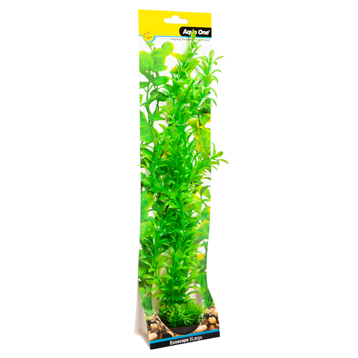 Ecoscape Medium Ludwigia Green
