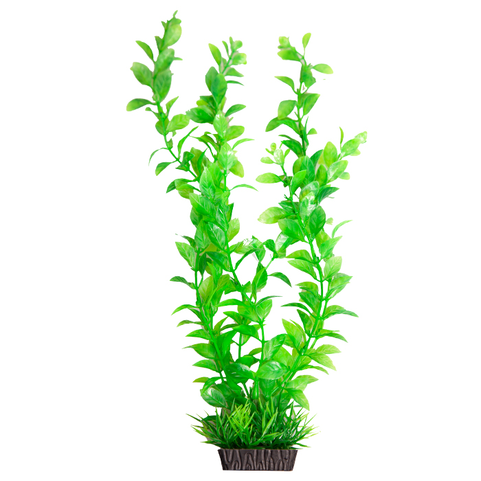 Ecoscape Medium Hygro Green