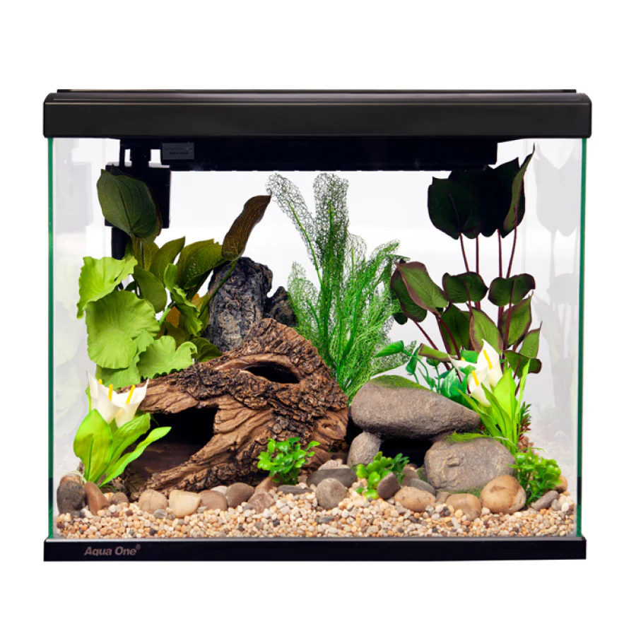 Lifestyle Classic 40 Complete Glass Aquarium 45cm 40l Satin Black