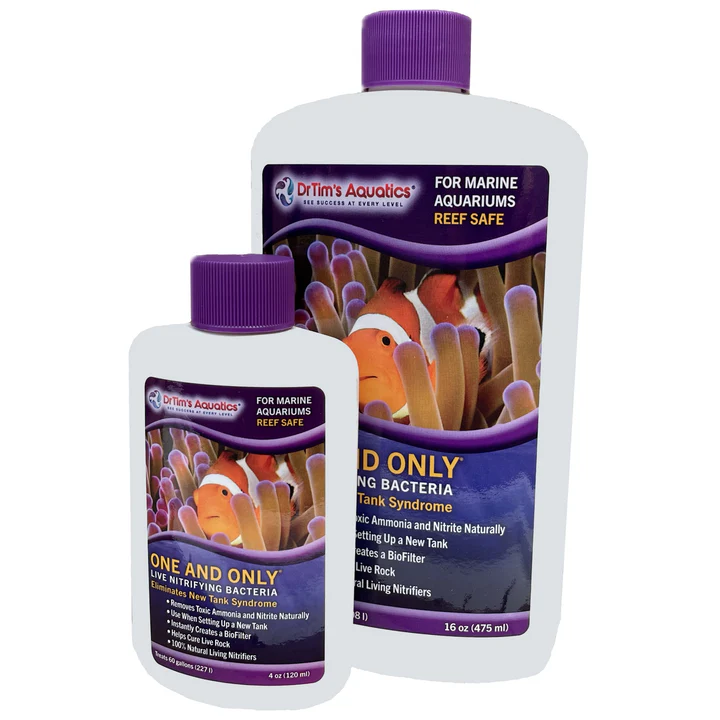 Dr Tim’s One and Only MARINE