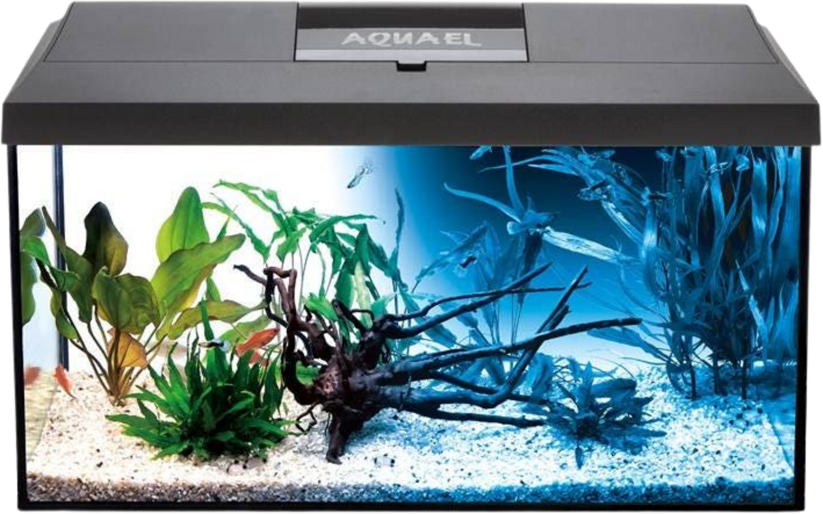 Aquael Leddy Day and Night Aquarium Set (Black)
