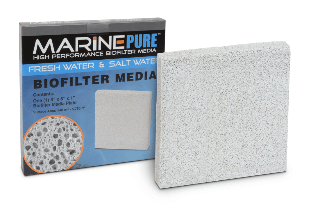 Marinepure Plate 8x8x1″