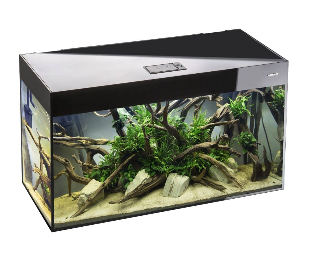 Aquael Glossy 120 Black Aquarium