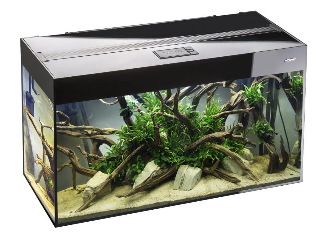 Aquael Glossy 100 Black Aquarium