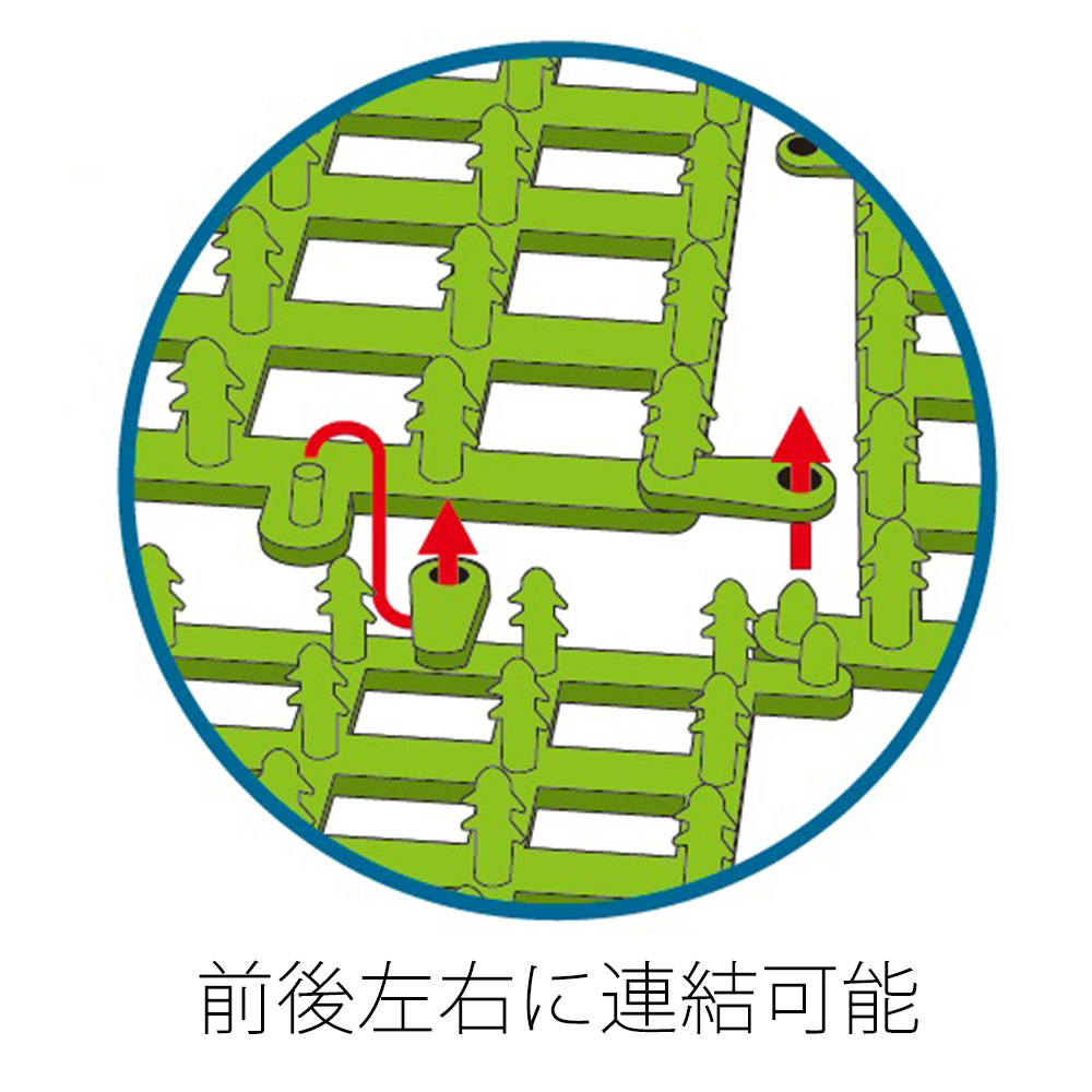 Nisso Little Garden Pennywort (nap-501)