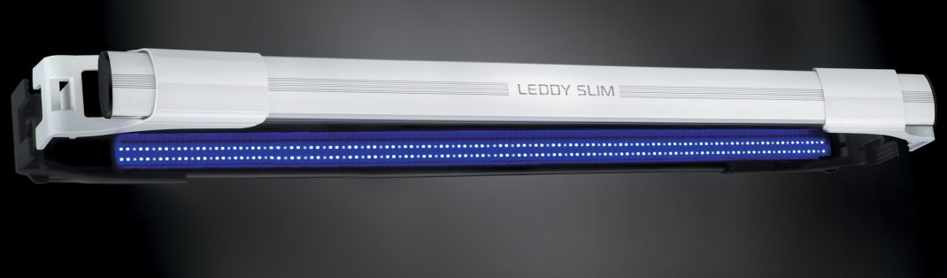 Aquael Leddy Slim 36w Actinic White 100-120cm