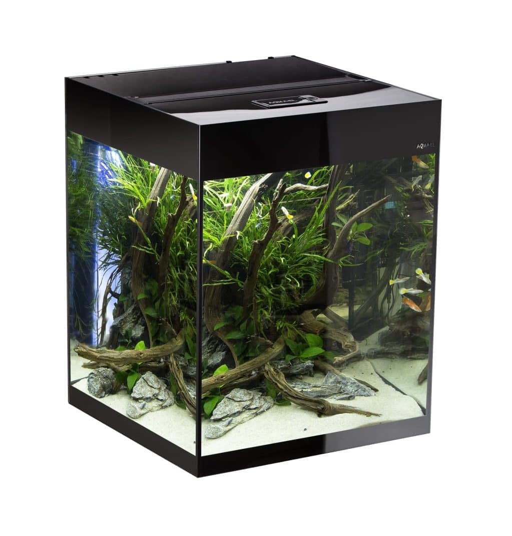 Aquael Glossy Cube Black Aquarium