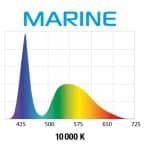 Aquael Leddy Slim Duo 10w Marine & Actinic White