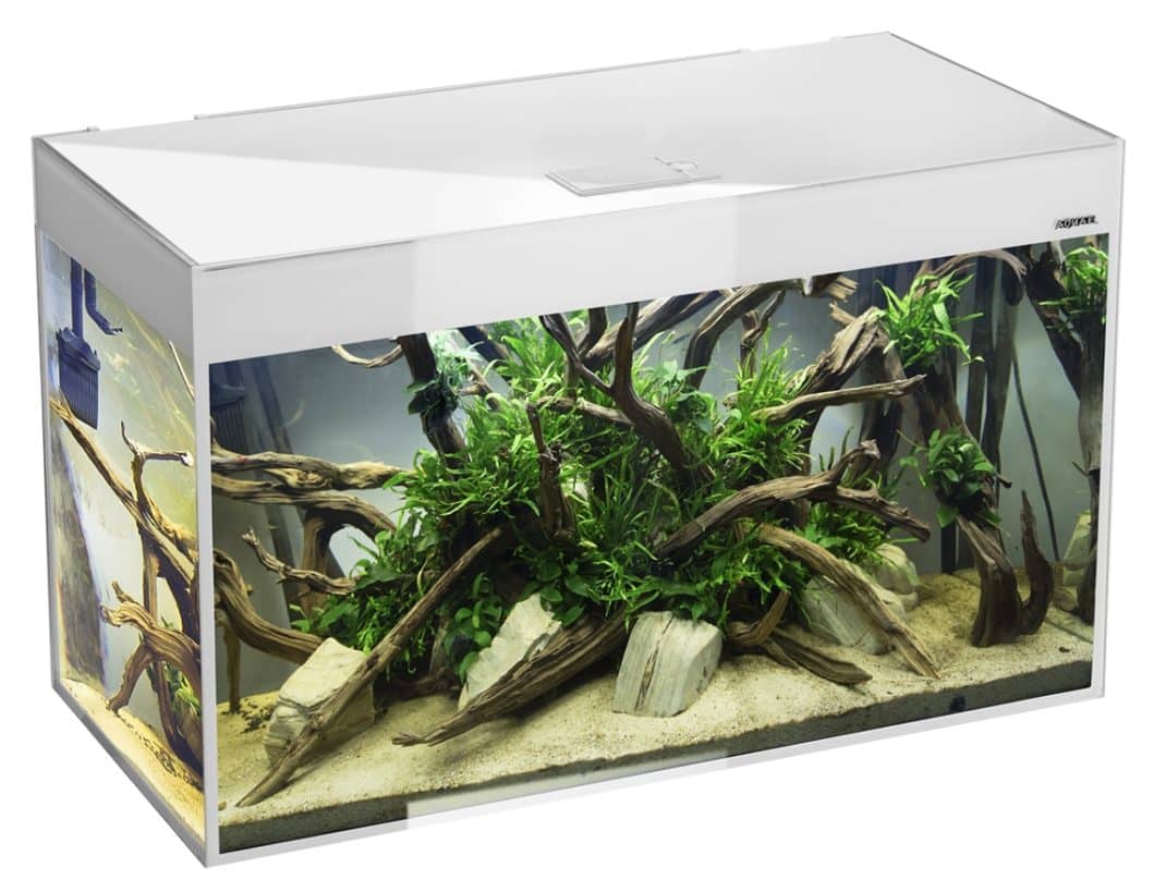 Aquael Glossy 100 White Aquarium