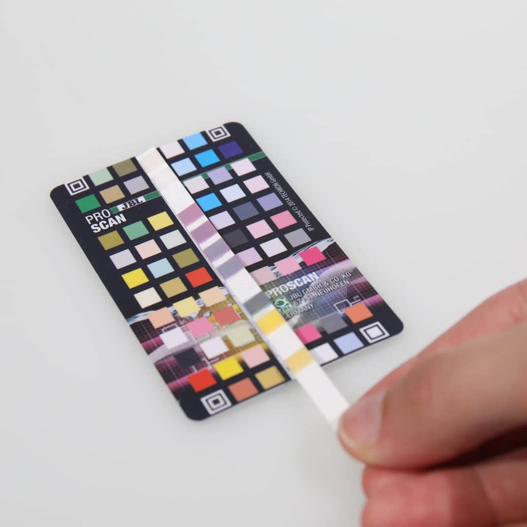 Jbl Proscan Recharge