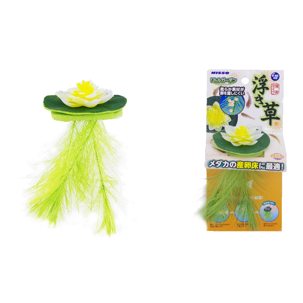Nisso Floating Lily Yellow (nap-522)
