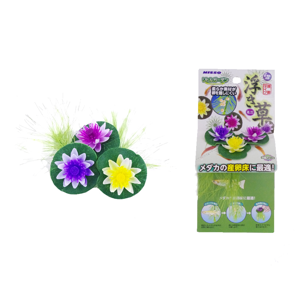 Nisso Floating Lily Mini 3pk (nap-524)