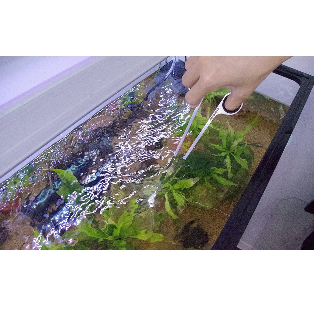 Nisso Scissors (nam-074)