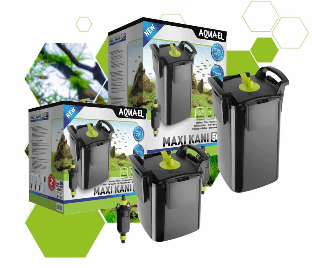 Aquael Gaskets Maxikani