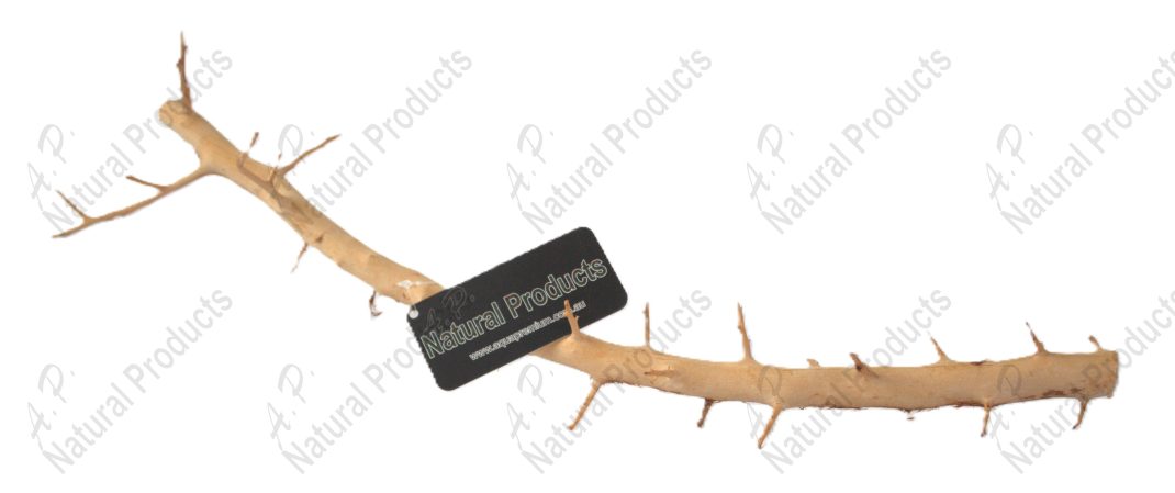 Ap Naturals Long Hands Wood