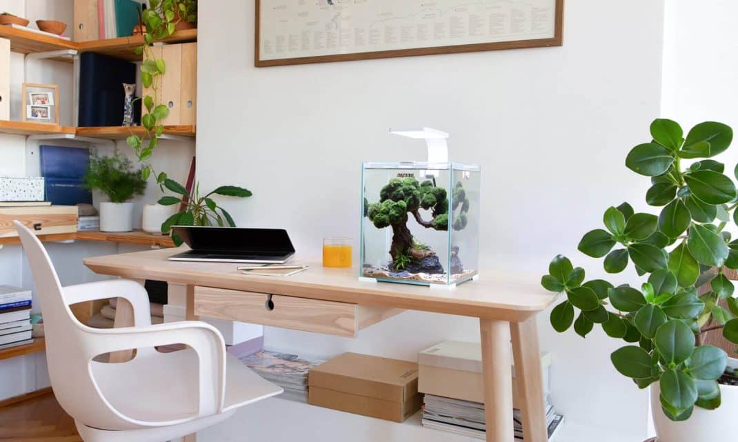 Aquael Shrimp Set 20 Black – Lid