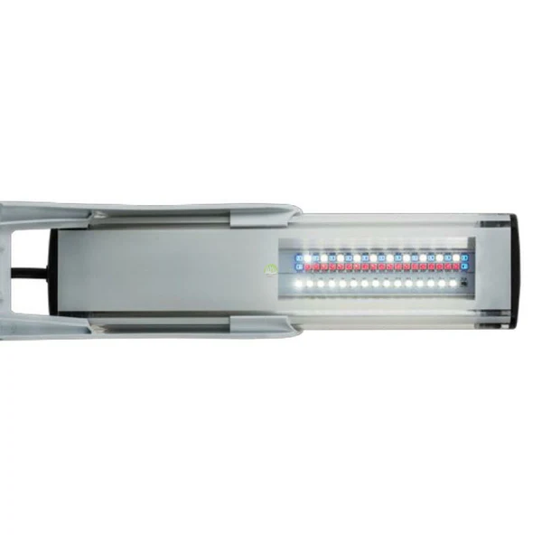 AQUAEL_SLIM_Duo-Sunny-Plant-Nignt-10W-05